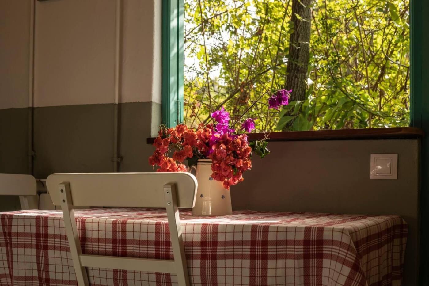 El Balcon By Villas Rivero سانتا بريخيذا المظهر الخارجي الصورة